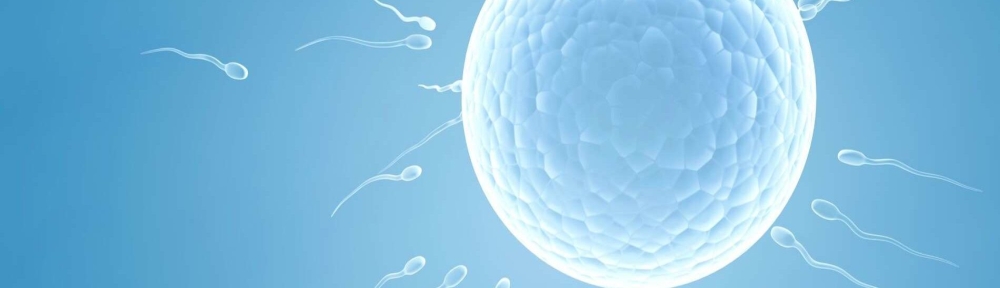 male-fertility-header